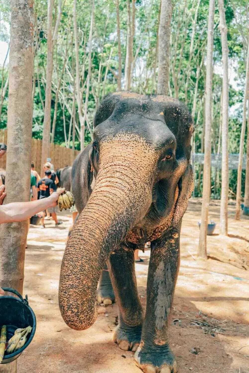 Do and don'ts in Phuket?