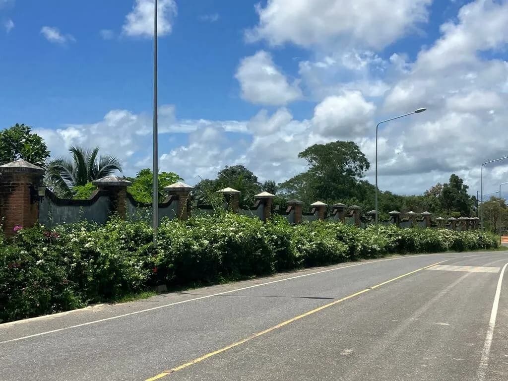 Terrain à vendre près du centre commercial Robinson Thalang