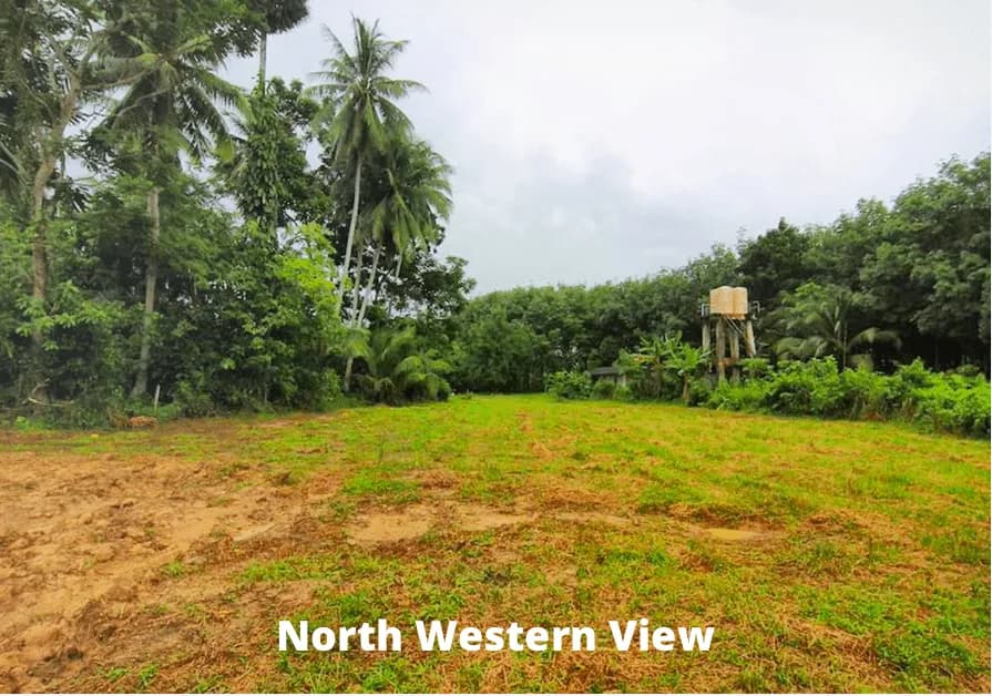 Terrain de 5,5 rais à vendre à Baan Para, Thalang, Phuket — Miniature 4
