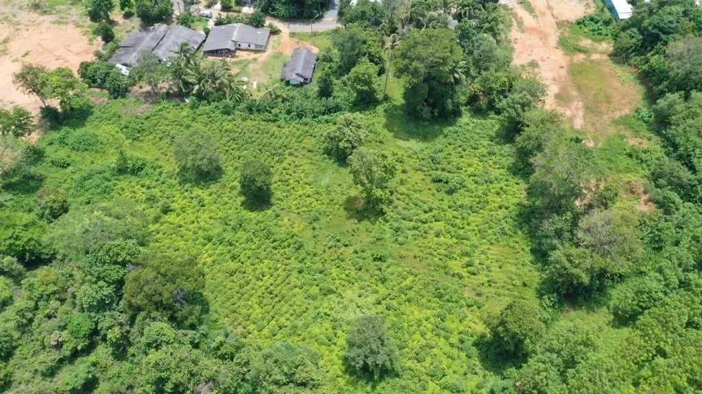 Terrain de 7 rais à vendre, Mai Khao, Phuket — Miniature 9