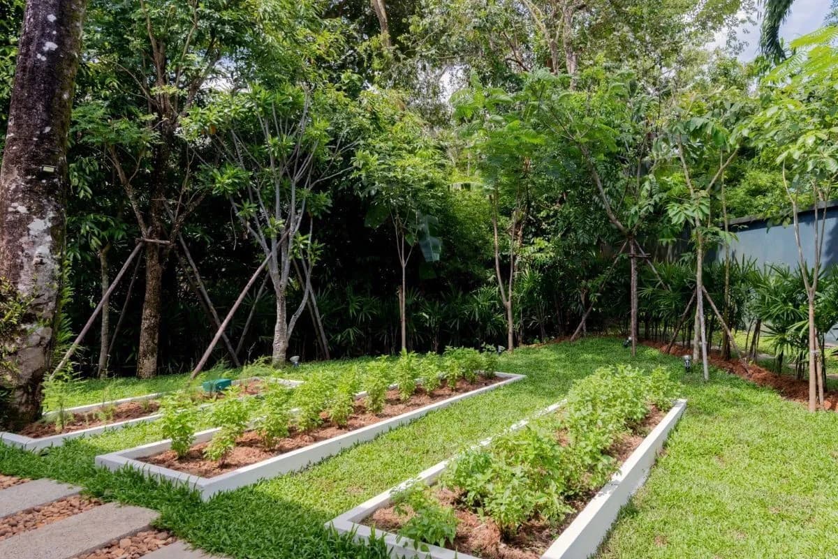 Superbe villa de luxe 3 chambres vue mer avec piscine privée à vendre à Choeng Thale, Phuket — Miniature 21