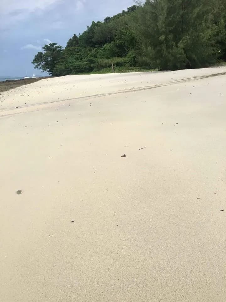 Terrain de 84 rais en bord de plage de sable à vendre sur l'île de Naka Yai, Phuket — Miniature 4