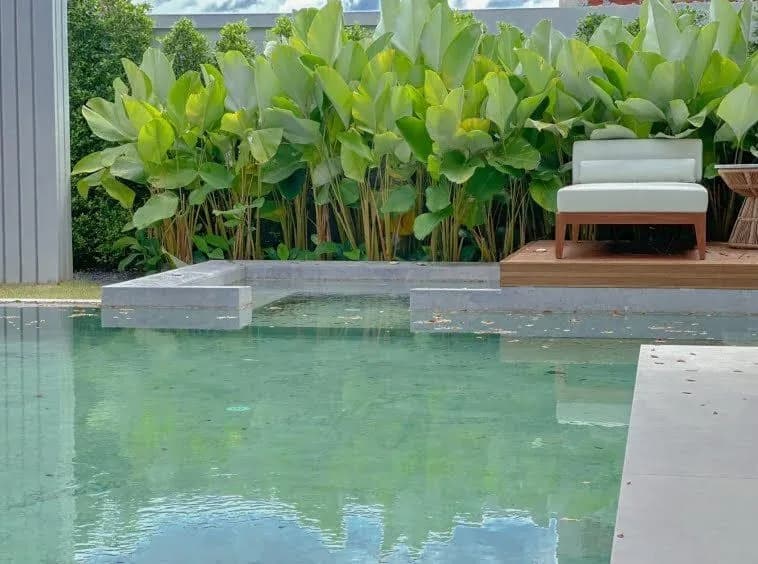 Villa Botanica : élégante villa avec piscine 4 chambres à louer à Layan — Miniature 18