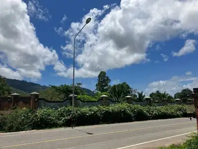Terrain à vendre près du centre commercial Robinson Thalang