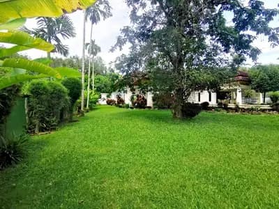 Villa 5 chambres avec grand jardin à louer à Thalang