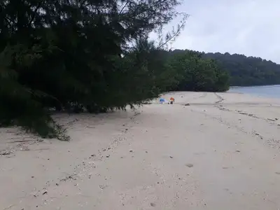 Terrain de 84 rais en bord de plage de sable à vendre sur l'île de Naka Yai, Phuket