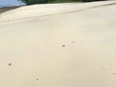 Terrain de 84 rais en bord de plage de sable à vendre sur l'île de Naka Yai, Phuket