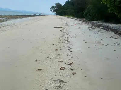 Terrain de 84 rais en bord de plage de sable à vendre sur l'île de Naka Yai, Phuket