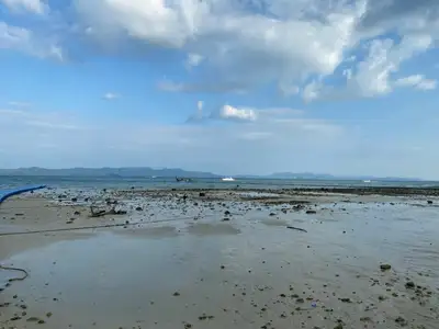 Terrain de 94 rais en bord de plage de sable à vendre sur l'île de Naka Yai, Phuket