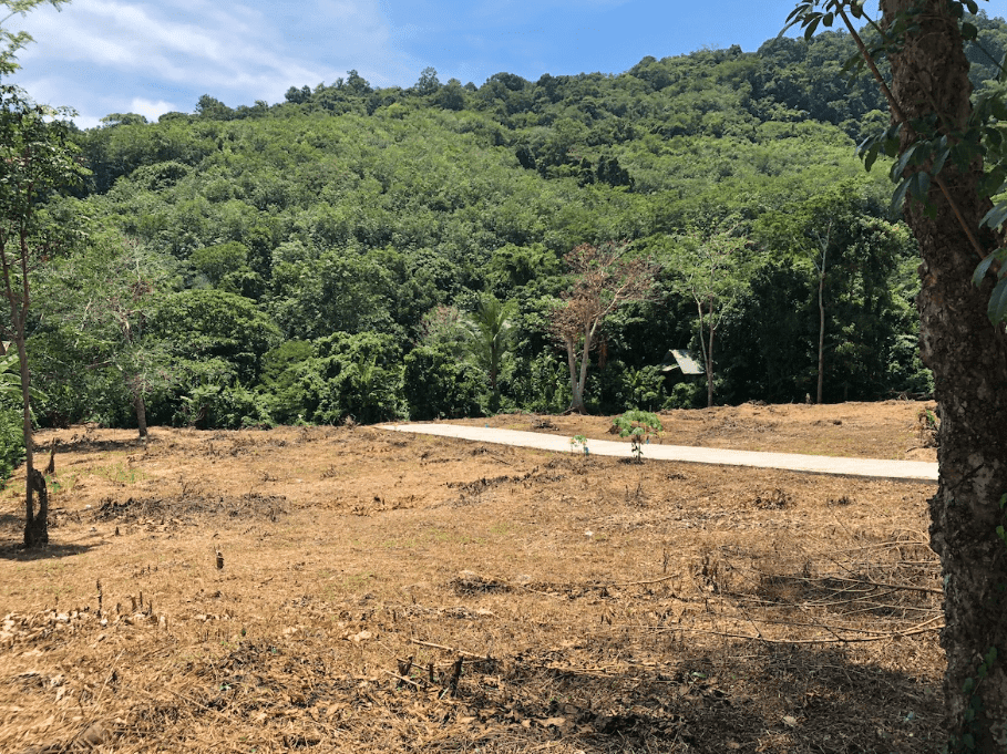 Land for sale located in Rawai